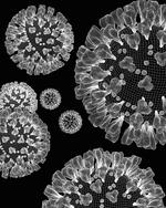 PRESENT - Midterm effects of School Closures